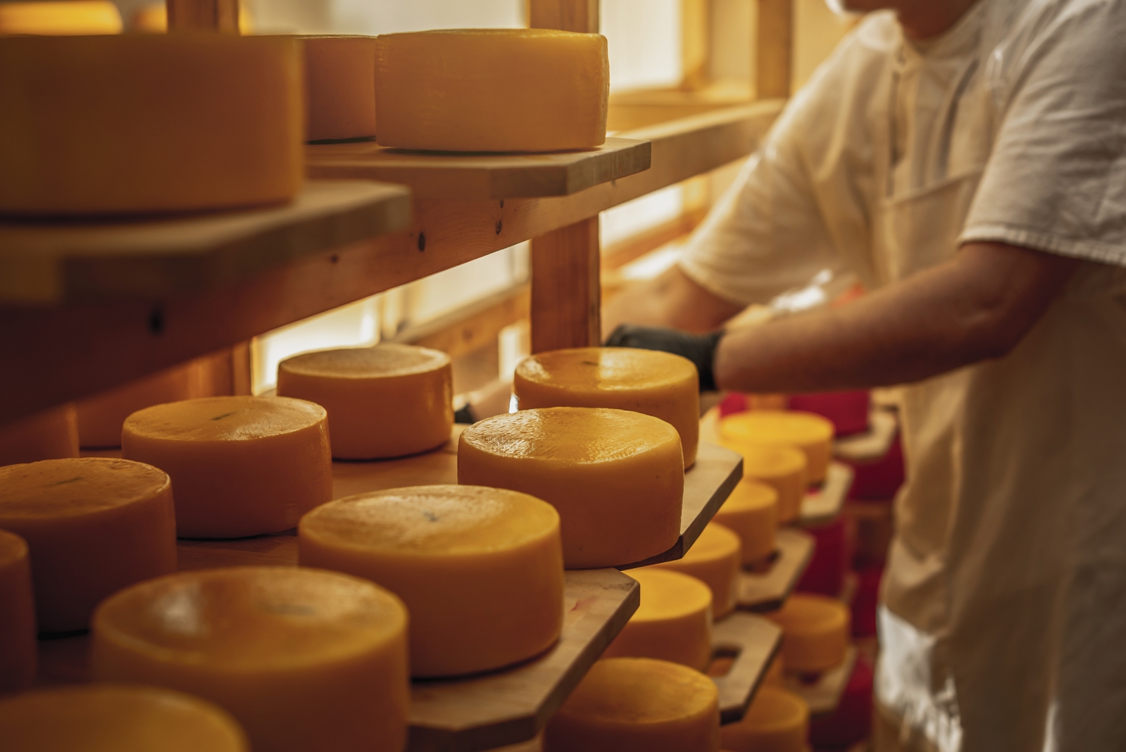 Анализ рынка сыра